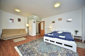Studio Apartment Dana, Prague